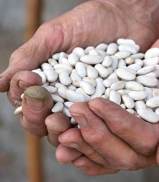 La nascita di un biodistretto. Comuni e associazioni insieme per valorizzare i prodotti tipici La nascita di un biodistretto. Comuni e associazioni insieme per valorizzare i prodotti tipici