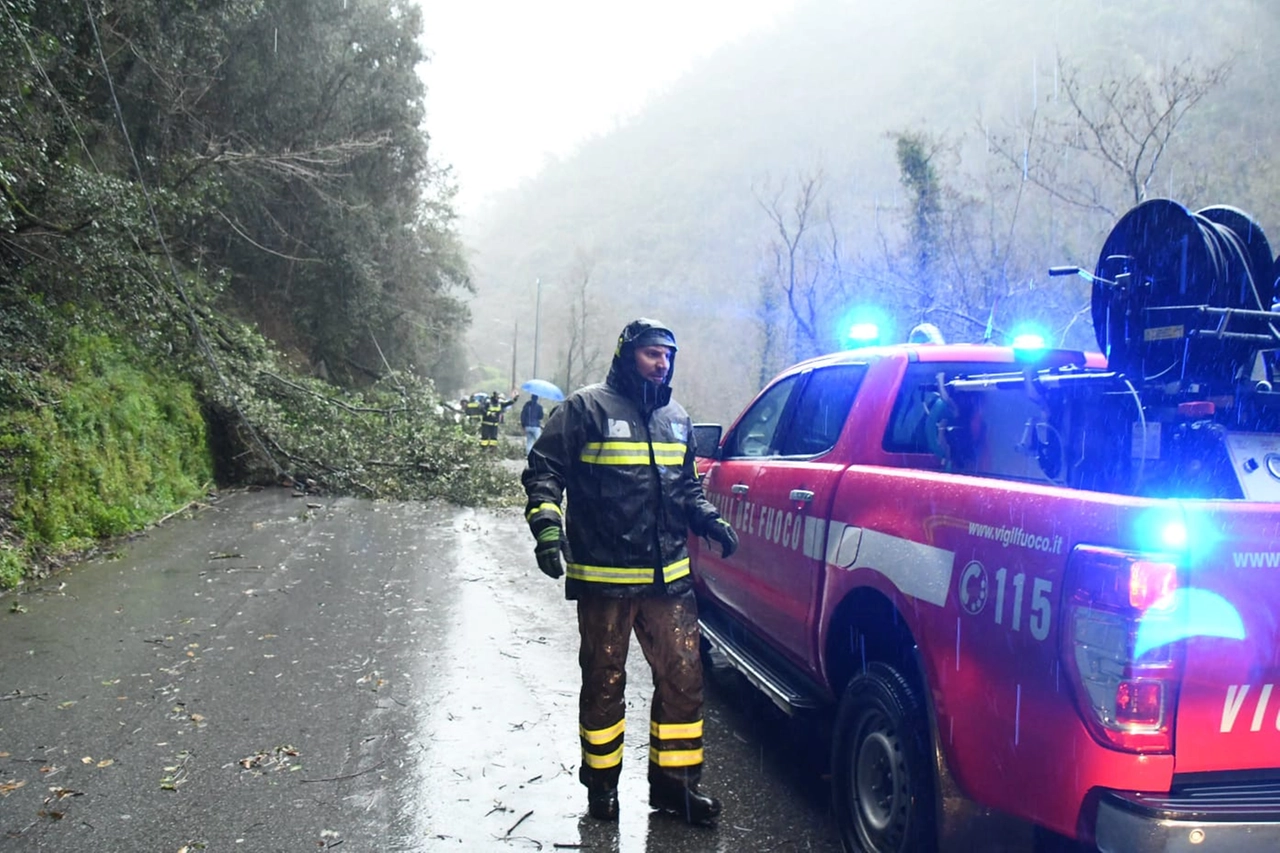 immagine di sfondo 11