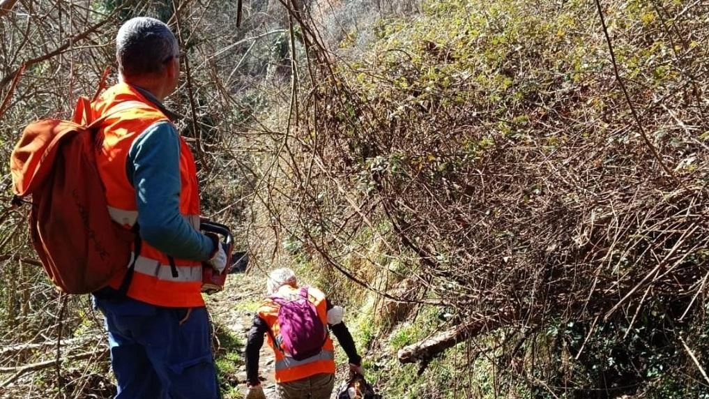 Uno scorcio dell’Alta via dei Monti liguri, che unisce in un unico itinerario tutta la Liguria da Ceparana a Ventimiglia Uno scorcio dell’Alta via dei Monti liguri, che unisce in un unico itinerario tutta la Liguria da Ceparana a Ventimiglia