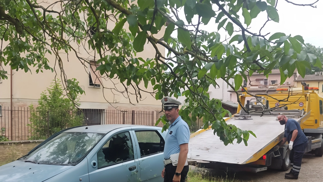 Pugno duro dell’amministrazione contro chi non smaltisce i veicoli. Cerbaia, Ponterotto, Mercatale e Bargino, accellerata sui controlli. Pugno duro dell’amministrazione contro chi non smaltisce i veicoli. Cerbaia, Ponterotto, Mercatale e Bargino, accellerata sui controlli.