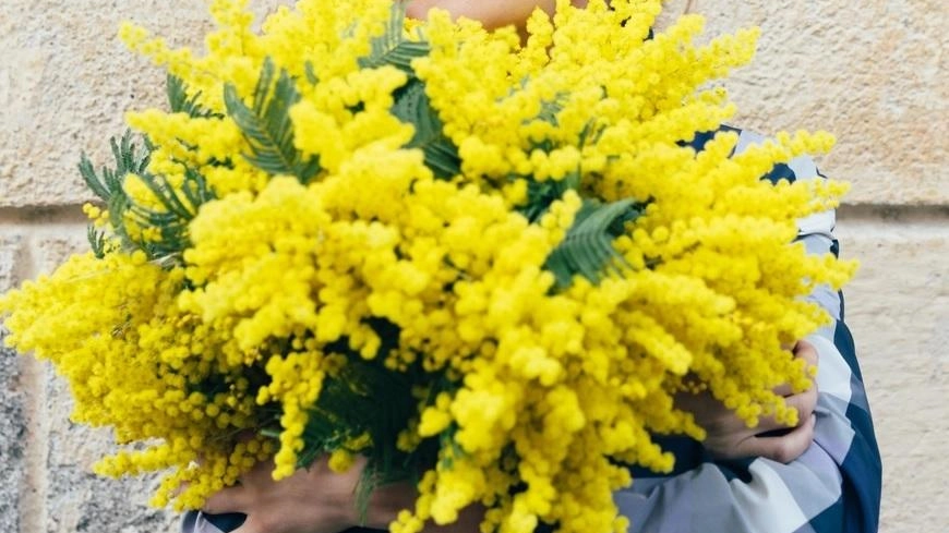 Un mese di appuntamenti in onore della donna a Carmignano. Si parte l’8 marzo con “Poesie libere in Circolo”: lettura... Un mese di appuntamenti in onore della donna a Carmignano. Si parte l’8 marzo con “Poesie libere in Circolo”: lettura...