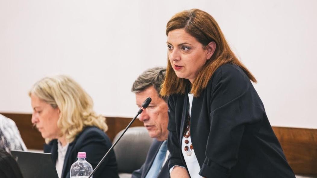 Mercanti (Pd) su dimissioni di Natali: "Un gesto davvero raro e dignitoso" Mercanti (Pd) su dimissioni di Natali: "Un gesto davvero raro e dignitoso"