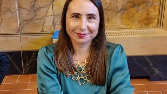 La consigliera Chiara Masini chiede spiegazioni sul perché le sia stata spenta la telecamera durante il consiglio La consigliera Chiara Masini chiede spiegazioni sul perché le sia stata spenta la telecamera durante il consiglio