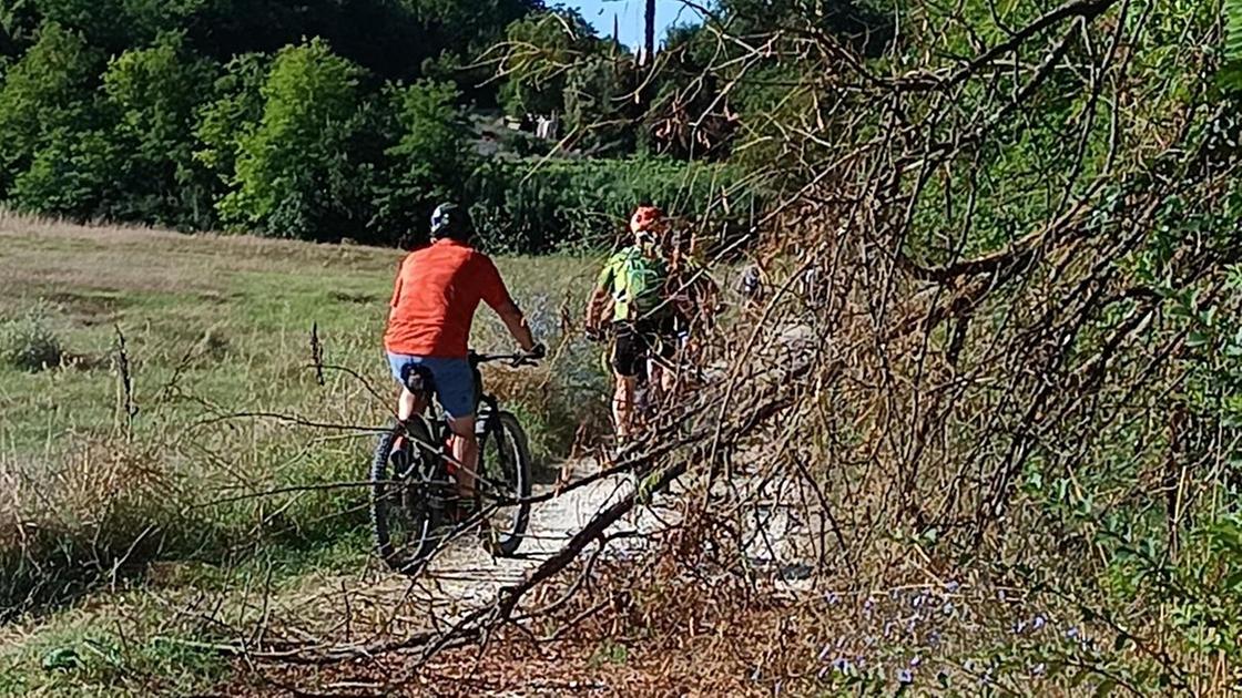 https://www.lanazione.it/image-service/view/acePublic/alias/contentid/ZWE3ZmM3NjktMWIzOC00/0/e-una-pista-ciclabile-che-genera-polemiche.jpeg?f=16:9&w=1200&h=630