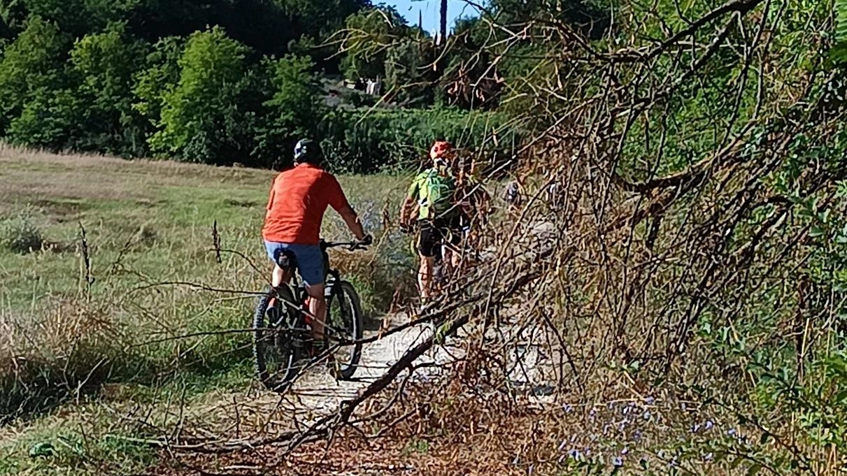 La pista ciclabile e pedonale che congiunge Poggibonsi con Bellavista e Staggia Senese ha bisogno di un intervento di manutenzione La pista ciclabile e pedonale che congiunge Poggibonsi con Bellavista e Staggia Senese ha bisogno di un intervento di manutenzione