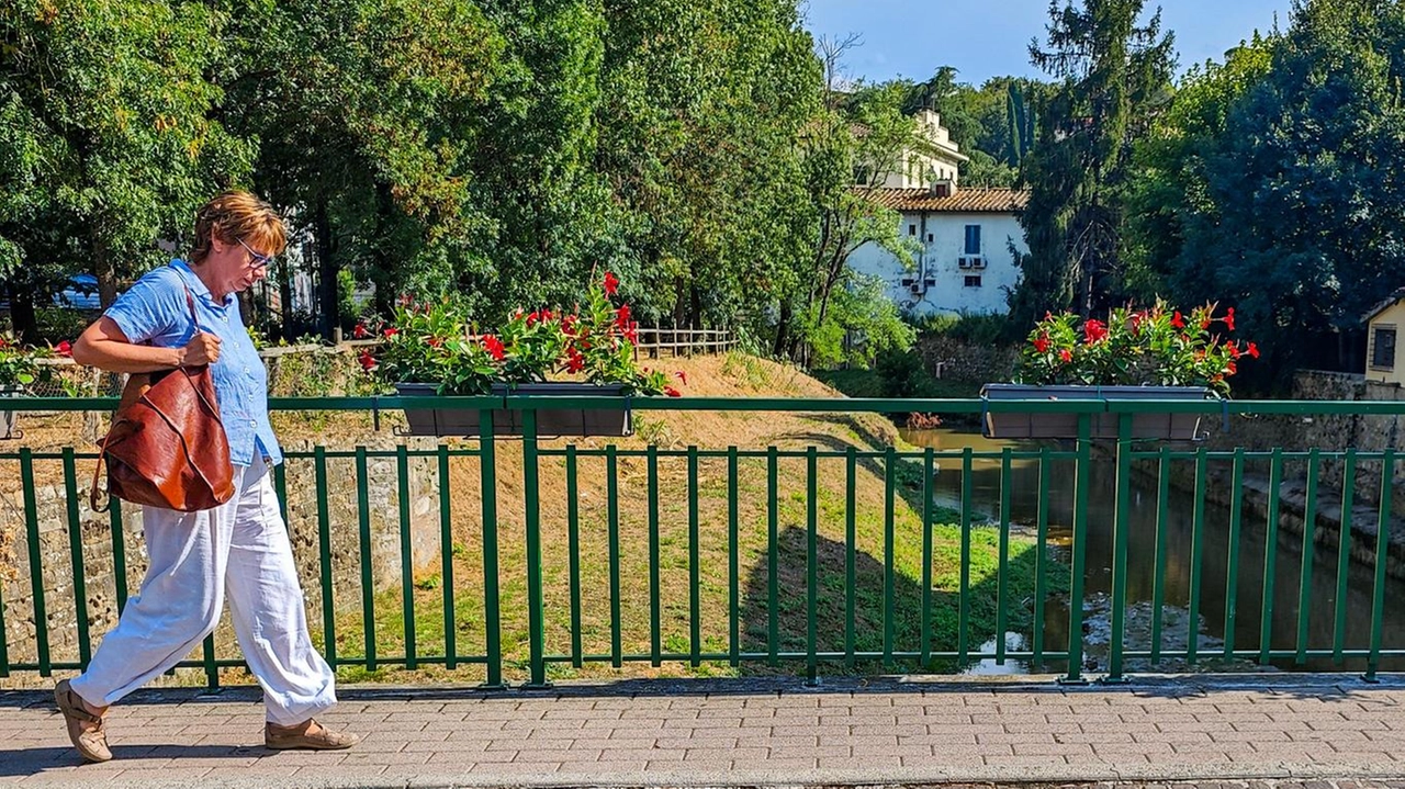 Nel mirino dei vandali i vasi di fiori che abbelliscono il ponte di Grassina: era già accaduto il 10 agosto (FotocronacheGermogli)