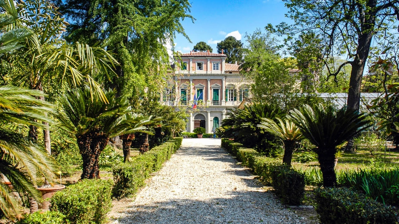 Il 2024 si chiude con un netto aumento di visitatori per il Sistema Museale di Ateneo Il 2024 si chiude con un netto aumento di visitatori per il Sistema Museale di Ateneo