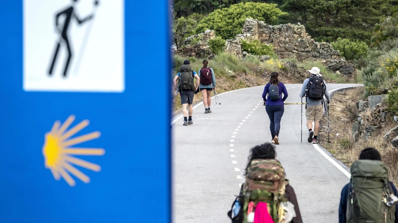 Bruciati 343.000 ettari, il peggior rogo di sempre Bruciati 343.000 ettari, il peggior rogo di sempre