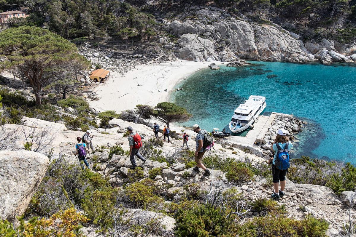 Montecristo, carte bollate. I giudici contro il Parco: “Basta divieti per le guide”