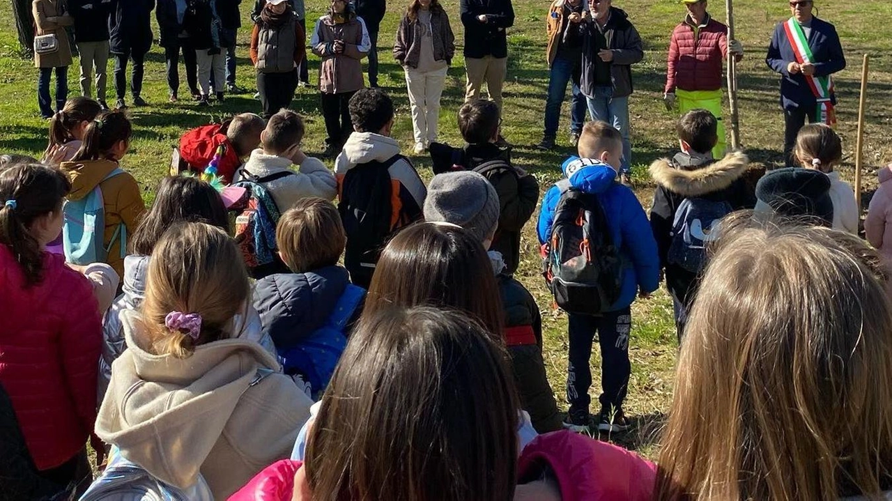 Ieri mattina in via Olmi la piantumazione della prima delle sette nuove piante donate dalla Contrada Il Ponte Ieri mattina in via Olmi la piantumazione della prima delle sette nuove piante donate dalla Contrada Il Ponte