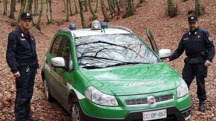 Controlli dei carabinieri forestali Controlli dei carabinieri forestali