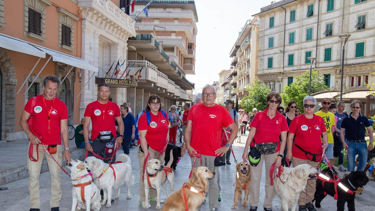 In foto, uno scatto dei partecipanti e dei loro amici a quattro zampe di una passata edizione del Dog pride day (Foto/Goiorani) In foto, uno scatto dei partecipanti e dei loro amici a quattro zampe di una passata edizione del Dog pride day (Foto/Goiorani)