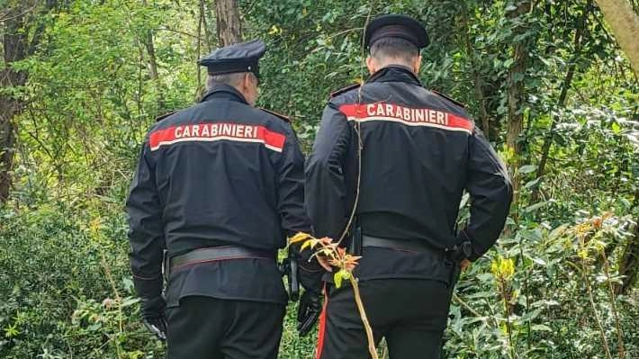 I carabinieri di Deiva Marina hanno scoperto una ’piazza dello spaccio’ allestita nei boschi nei pressi del casello autostradale. Denunciato un marocchino di 30 anni senza fissa dimora I carabinieri di Deiva Marina hanno scoperto una ’piazza dello spaccio’ allestita nei boschi nei pressi del casello autostradale. Denunciato un marocchino di 30 anni senza fissa dimora