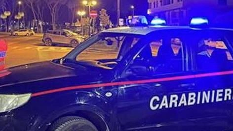 Intensificata l’attività di presidio del territorio contro furti e truffe ma anche sulle strade. Intervento del Nucleo antisofisticazioni: verifiche in 93 fra negozi, ristoranti e banchi ambulanti.