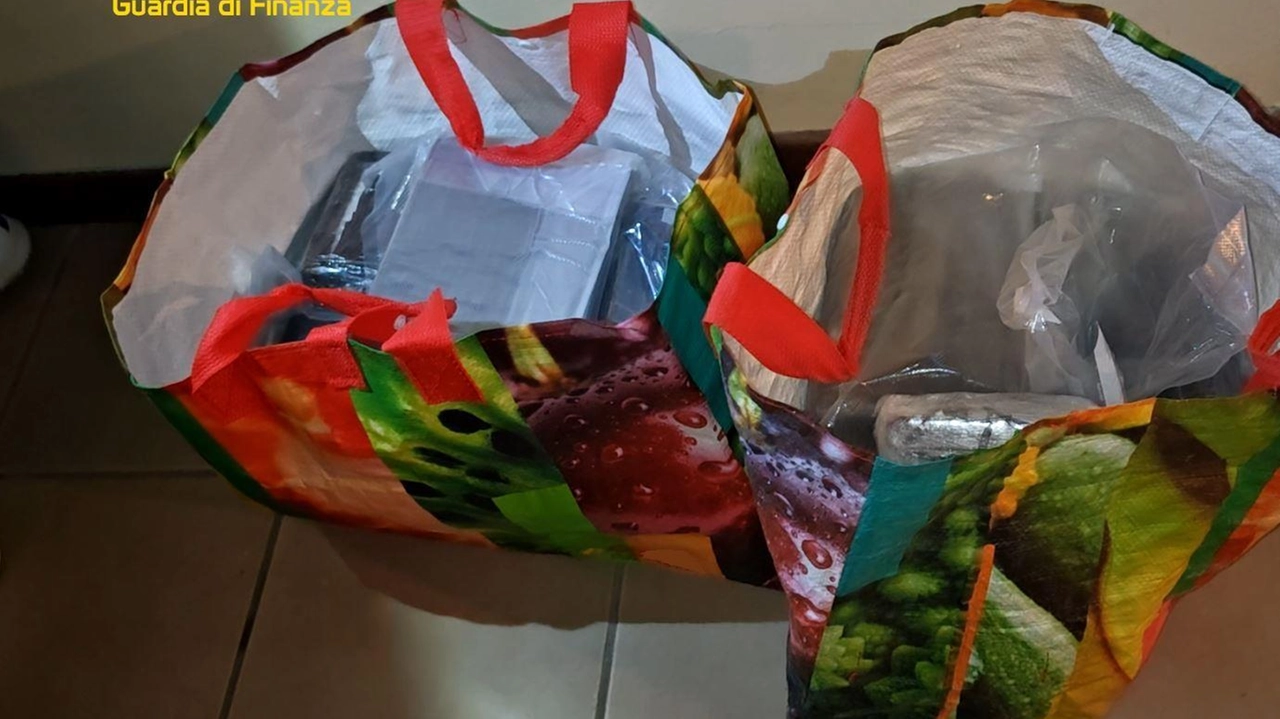 La droga trovata dagli agenti della Guardia di Finanza nell’appartamento dove vive il 29enne: quindi panetti di cocaina nelle buste della spesa La droga trovata dagli agenti della Guardia di Finanza nell’appartamento dove vive il 29enne: quindi panetti di cocaina nelle buste della spesa