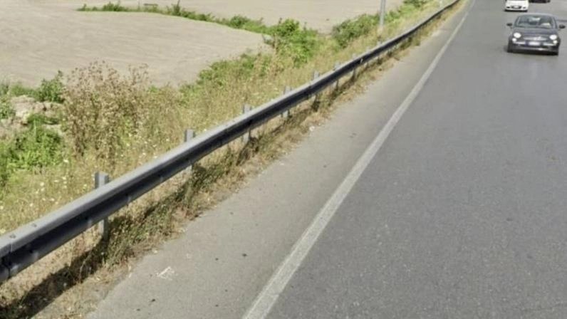 Quella che era l’area boscata fuori dal casello autostradale di Lucca Est