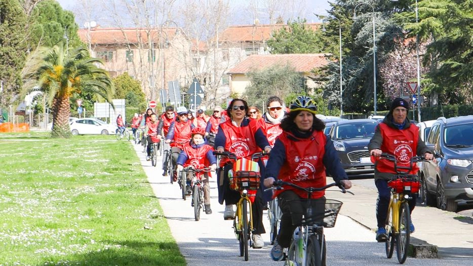 In quasi 180 persone hanno pedalato e camminato per le vie del centro . A teatro il momento della donazione alla Casa della Giovane di Pisa. In quasi 180 persone hanno pedalato e camminato per le vie del centro . A teatro il momento della donazione alla Casa della Giovane di Pisa.