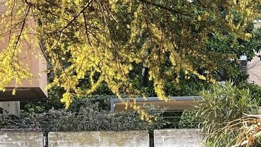 Uccisi dal fumo di un incendio che risale a diverse ore prima, probabilmente al 31 dicembre. Madre e figlio,... Uccisi dal fumo di un incendio che risale a diverse ore prima, probabilmente al 31 dicembre. Madre e figlio,...