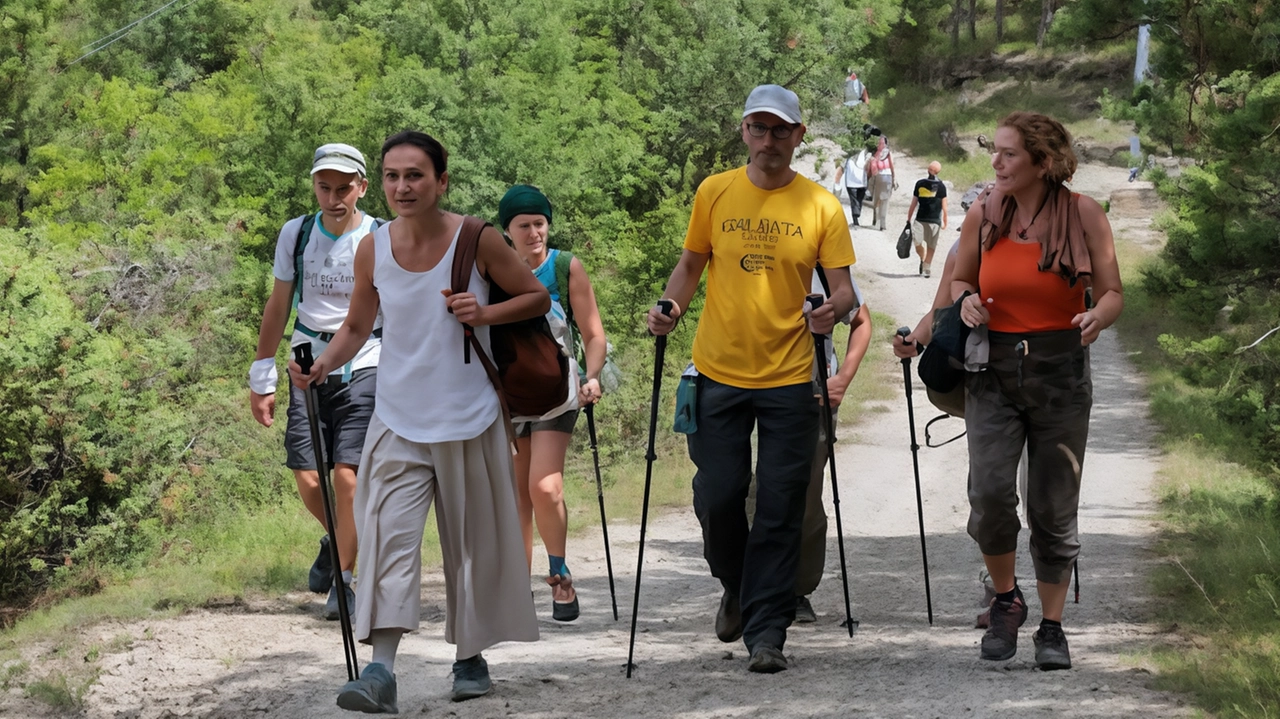 Il 15 settembre a Scandicci si terrà la 15° edizione della "Montagna dei Ragazzi" nel parco comunale di Poggio Valicaia. Novità di quest'anno è un'escursione per ragazzi senza genitori, guidata da accompagnatori qualificati. Il programma include anche un'escursione in famiglia e attività ludiche sull'ambiente. Il 15 settembre a Scandicci si terrà la 15° edizione della "Montagna dei Ragazzi" nel parco comunale di Poggio Valicaia. Novità di quest'anno è un'escursione per ragazzi senza genitori, guidata da accompagnatori qualificati. Il programma include anche un'escursione in famiglia e attività ludiche sull'ambiente.