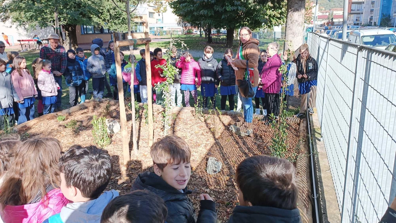 A Pontassieve, la scuola Calvino accoglie il bosco didattico di Unicoop Firenze, promuovendo l'educazione ambientale e la biodiversità. A Pontassieve, la scuola Calvino accoglie il bosco didattico di Unicoop Firenze, promuovendo l'educazione ambientale e la biodiversità.