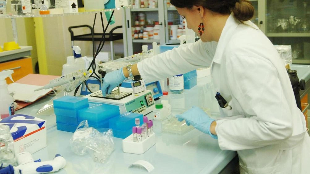 Un caso di legionella analizzato in laboratorio (foto d’archivio)