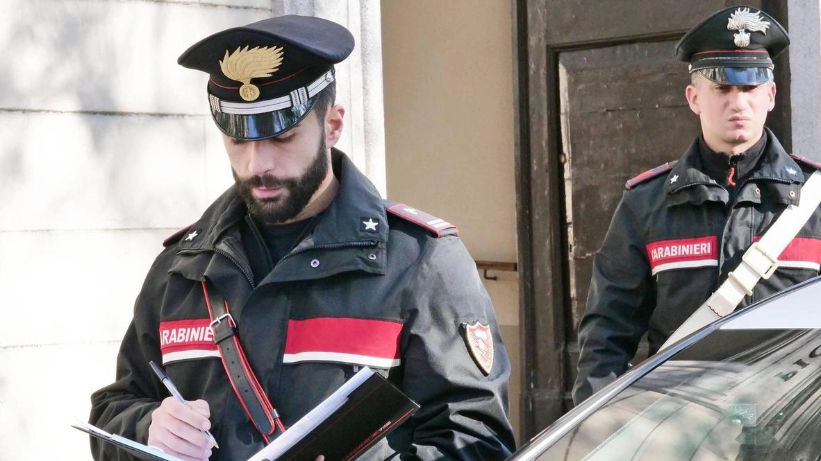 Le indagini sono state condotte dai carabinieri (foto d’archivio) Le indagini sono state condotte dai carabinieri (foto d’archivio)