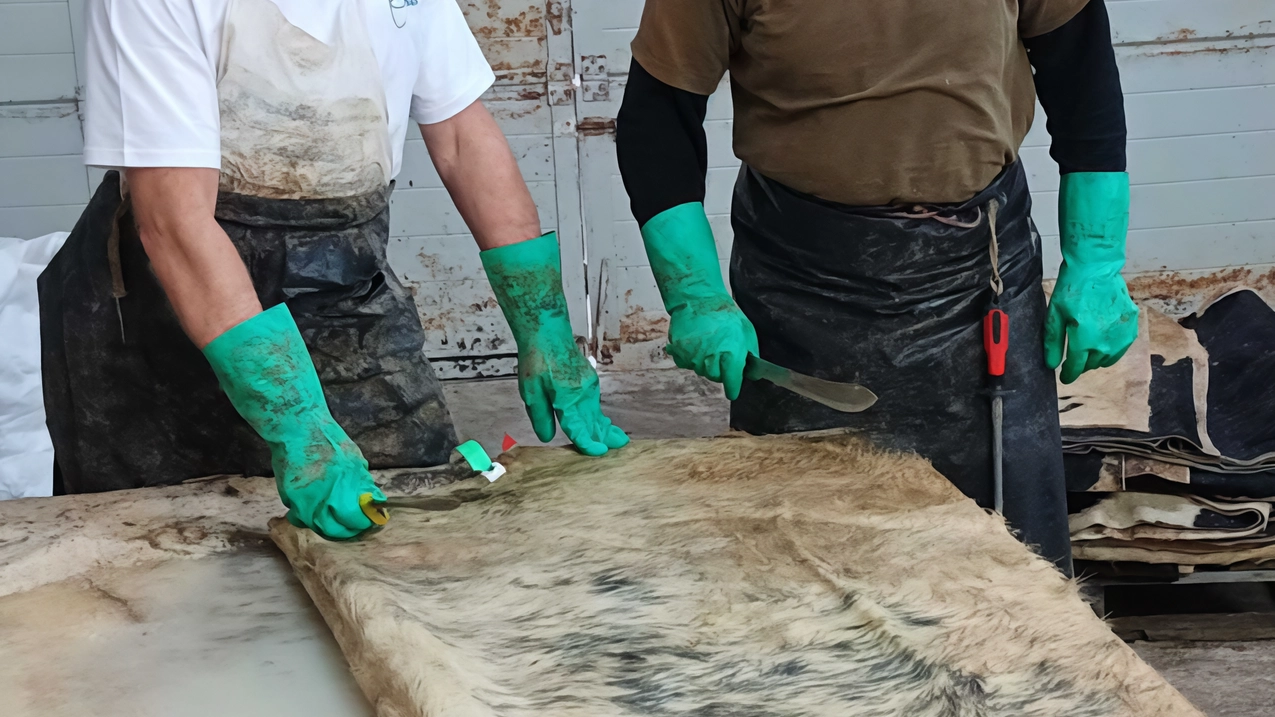 Trema tutto il sistema moda. Che qui è fatto di pelle e di cuoio, fra concerie, calzatufici e pelletterie. La...