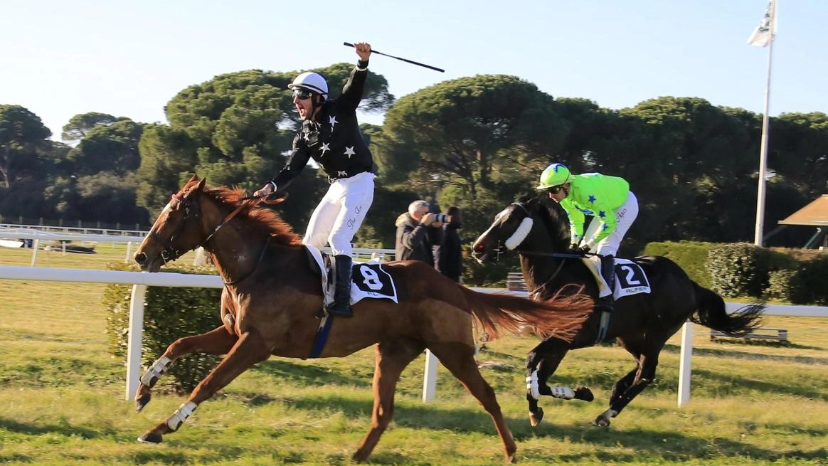What About vince il premio Madey sui 3500 metri. Prossima sfida: la Listed per cavalli di 4 anni il 19 gennaio. What About vince il premio Madey sui 3500 metri. Prossima sfida: la Listed per cavalli di 4 anni il 19 gennaio.