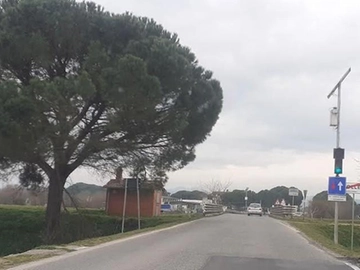 immagine articolo