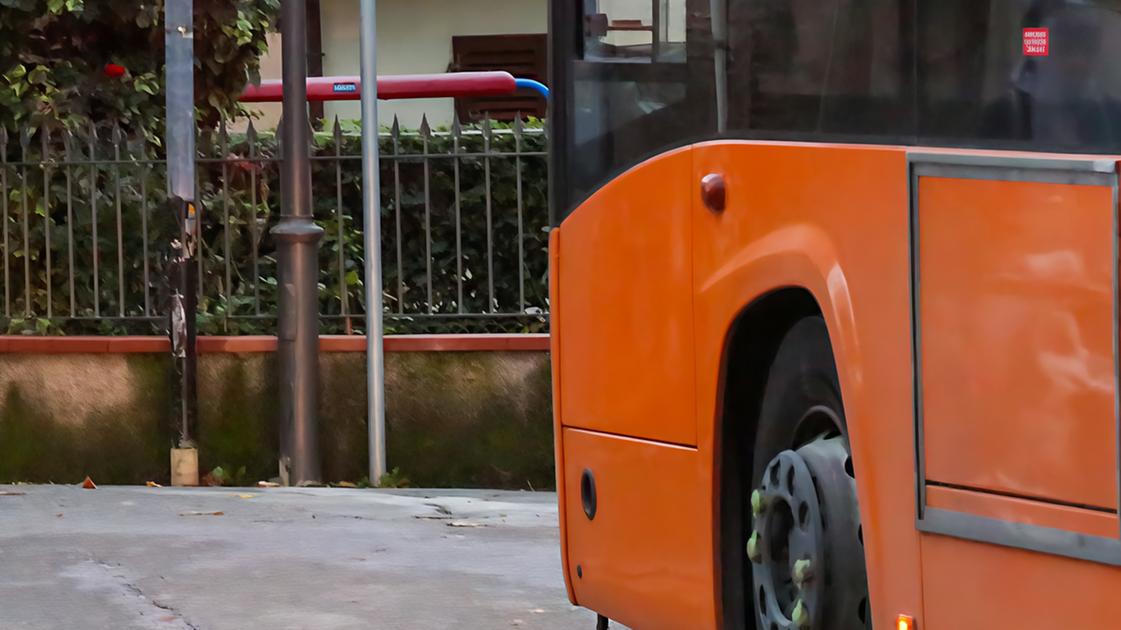 https://www.lanazione.it/image-service/view/acePublic/alias/contentid/ZWQ5OGUxZWQtMjRlYS00/0/la-ztl-merci-resta-in-stand-by-il-ministero-dei-trasporti-si-e-opposto.jpeg?f=16:9&w=1200&h=630