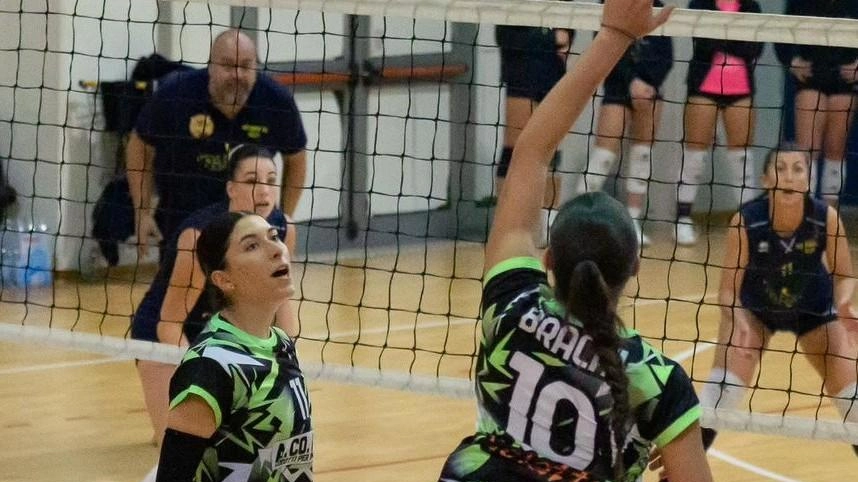Sabato di grande volley per le squadre di serie C femminile di Pistoia. Partite in casa e trasferte impegnative, con focus su Pallavolo Delfino Pescia e Blu Volley. Situazione di classifica e prospettive per le squadre in campo. Sabato di grande volley per le squadre di serie C femminile di Pistoia. Partite in casa e trasferte impegnative, con focus su Pallavolo Delfino Pescia e Blu Volley. Situazione di classifica e prospettive per le squadre in campo.