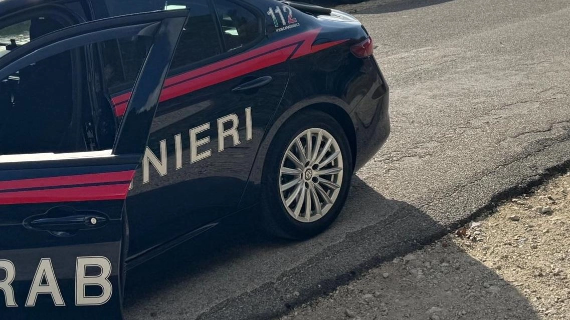 TERNI I carabinieri hanno denunciato un 28enne , conducente di un furgone di un corriere nazionale, per detenzione di sostanze stupefacenti... TERNI I carabinieri hanno denunciato un 28enne , conducente di un furgone di un corriere nazionale, per detenzione di sostanze stupefacenti...