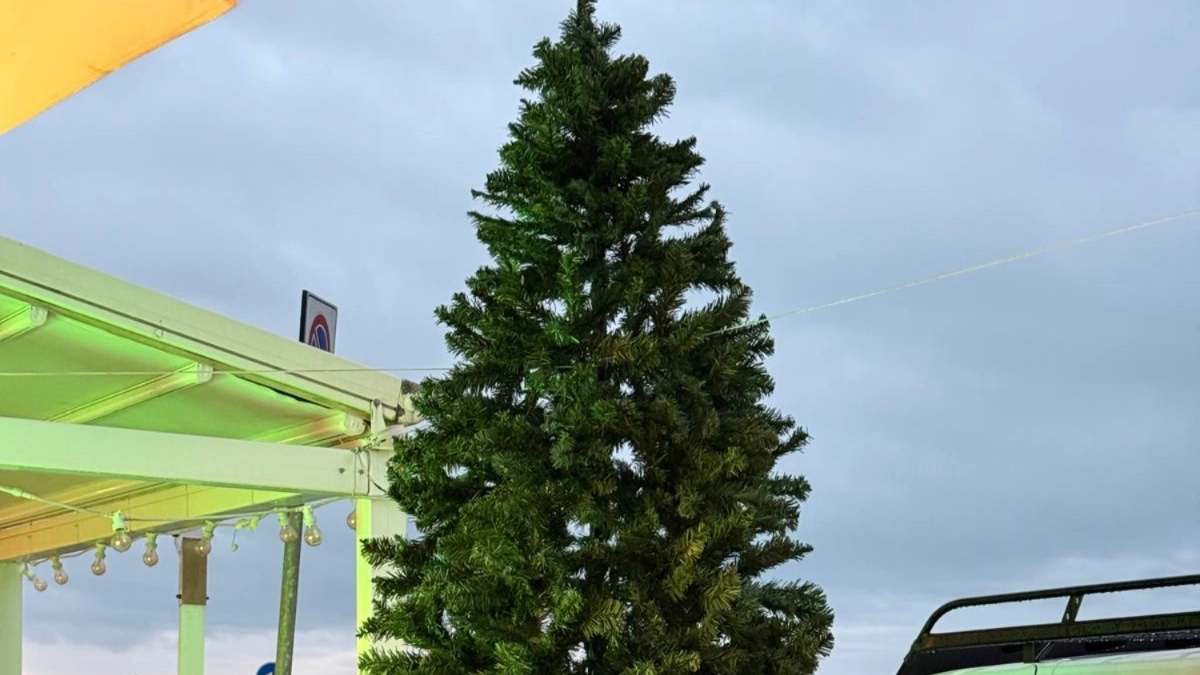 L'albero di Natale di Marina che sarà presto addobbato e acceso L'albero di Natale di Marina che sarà presto addobbato e acceso