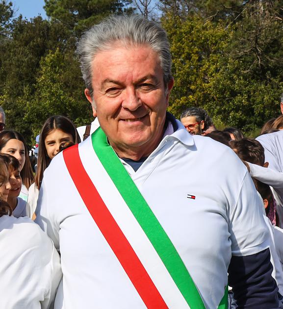 Mucche ’in fuga’, scatta l’ordinanza Mucche ’in fuga’, scatta l’ordinanza