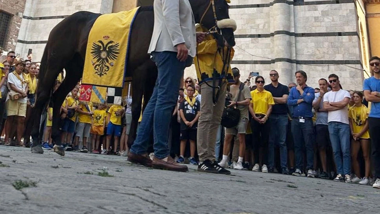 Il priore Fattorini sottolinea l’importanza degli edifici nel territorio del rione anche alla luce dei numeri crescenti dei contradaioli che frequentano "Le borse di studio consegnate nel cortile del Palazzo del Capitano" . Il priore Fattorini sottolinea l’importanza degli edifici nel territorio del rione anche alla luce dei numeri crescenti dei contradaioli che frequentano "Le borse di studio consegnate nel cortile del Palazzo del Capitano" .