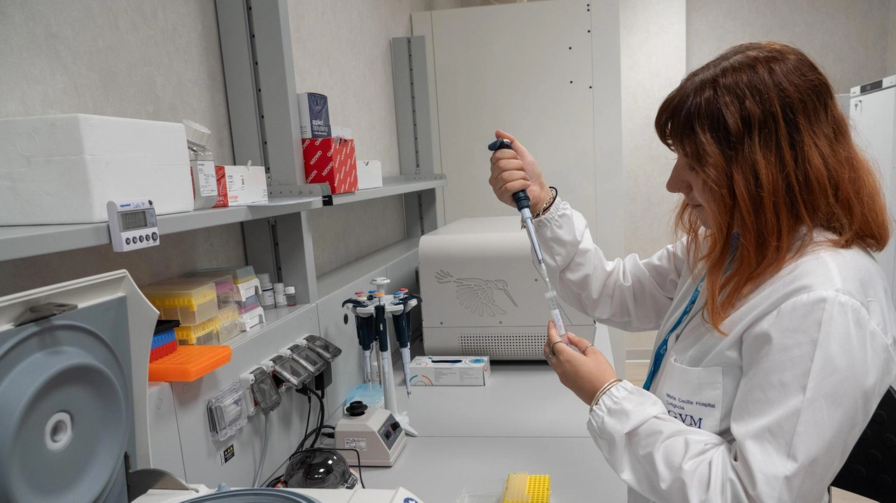 L’iniziativa debutta il primo ottobre al rettorato: focus sui progetti di studio. Previsti anche momenti di confronto tra i ricercatori e la comunità senese. L’iniziativa debutta il primo ottobre al rettorato: focus sui progetti di studio. Previsti anche momenti di confronto tra i ricercatori e la comunità senese.