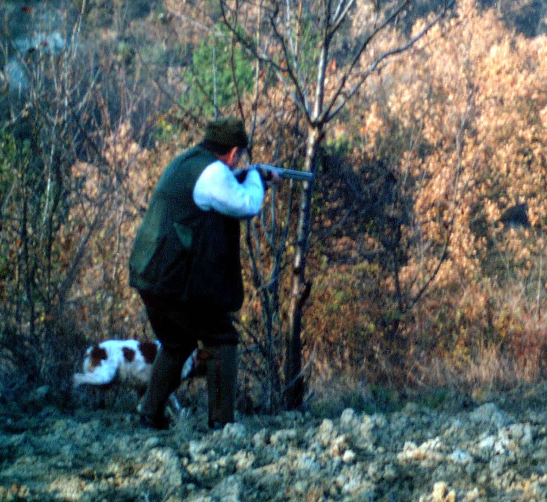 In una riserva in Mugello. Sparò alla guardia venatoria. A processo il bracconiere In una riserva in Mugello. Sparò alla guardia venatoria. A processo il bracconiere