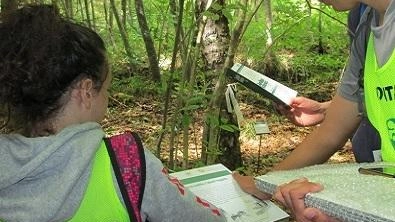 L’attività di volontariato ha una duplice valenza sociale e di rispetto ambientale ma soprattutto punta all’inclusione L’attività di volontariato ha una duplice valenza sociale e di rispetto ambientale ma soprattutto punta all’inclusione
