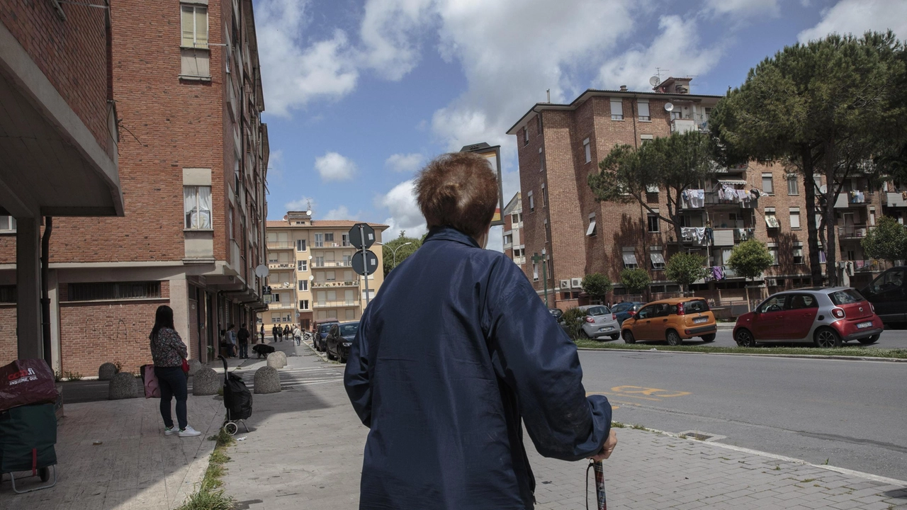 L’episodio si. è verificato in via Leon Battista Alberti, nel cuore del quartiere Cep e non sarebbe il primo caso L’episodio si. è verificato in via Leon Battista Alberti, nel cuore del quartiere Cep e non sarebbe il primo caso
