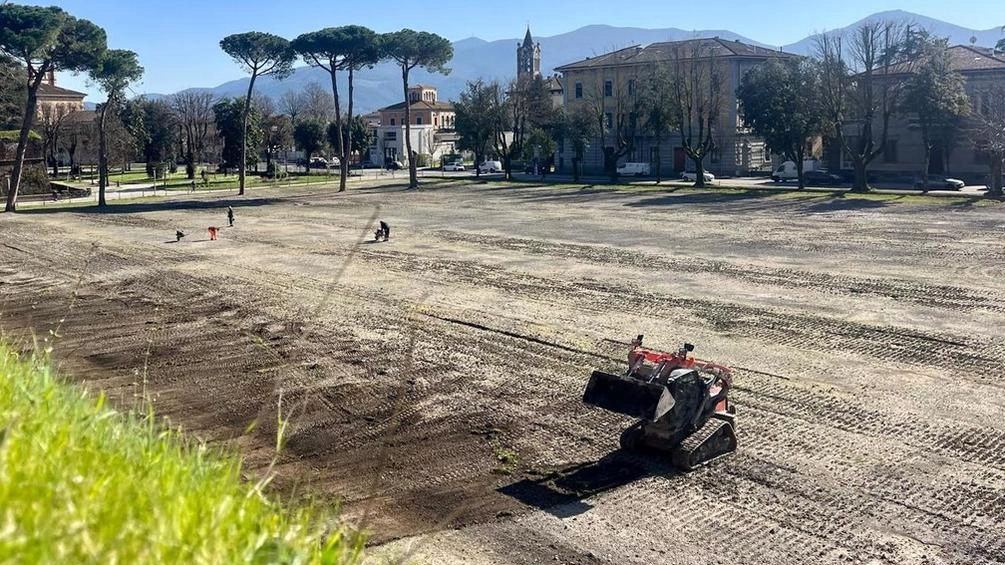 Il ripristino del manto erboso al campo Balilla è iniziato in ritardo, le parole del sindaco rinfocolano le polemiche del Comitato Il ripristino del manto erboso al campo Balilla è iniziato in ritardo, le parole del sindaco rinfocolano le polemiche del Comitato