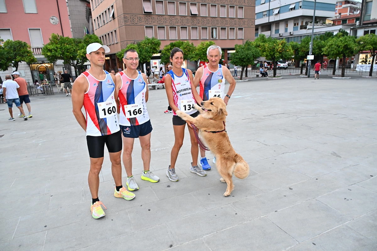 immagine di sfondo 39