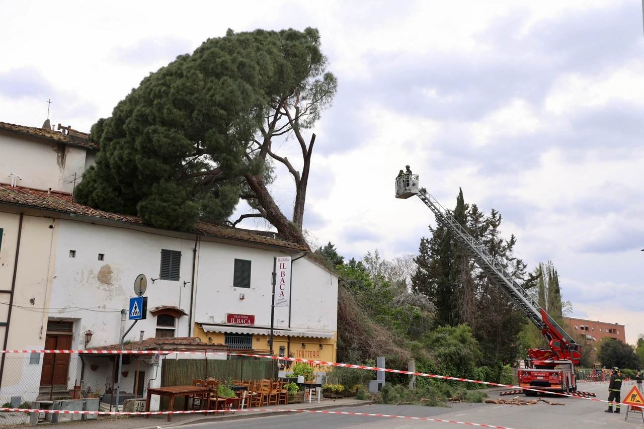 immagine di sfondo 13