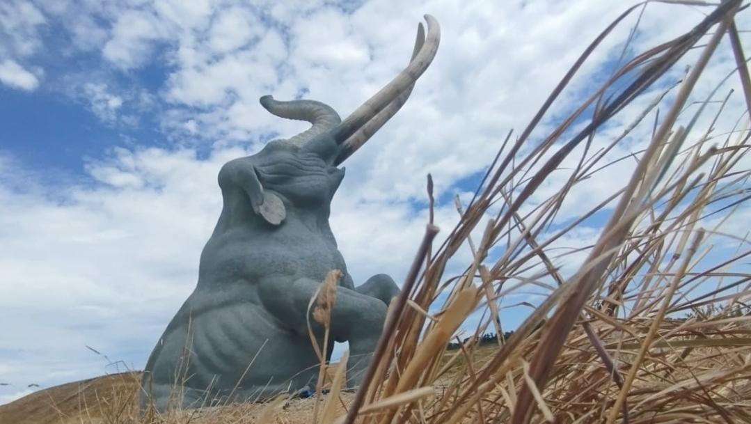 Arrivano i Mammut nella discarica, a Peccioli la preistoria è di casa Arrivano i Mammut nella discarica, a Peccioli la preistoria è di casa