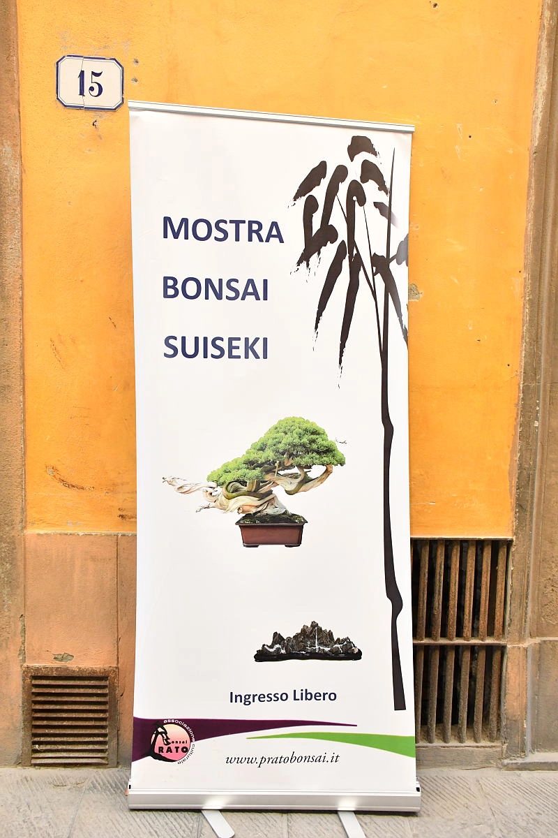 immagine di sfondo 12