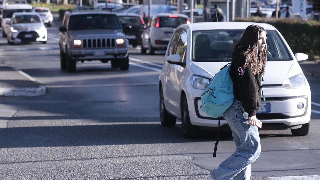 Il commerciante Fusi: "Niente di fatto sul raddoppio tra Bussetto e Due Ponti". Carapelli, Confartigianato: "Ci troviamo di fronte a trent’anni di miopia". Il commerciante Fusi: "Niente di fatto sul raddoppio tra Bussetto e Due Ponti". Carapelli, Confartigianato: "Ci troviamo di fronte a trent’anni di miopia".