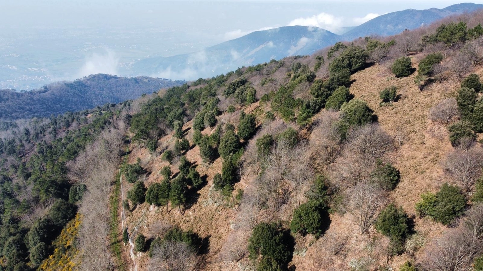 Antincendio boschivo, sul Monte Pisano in corso opere per 230mila
