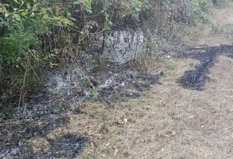 Cinque inneschi di roghi. Piromane a San Gervasio in varie zone del bosco