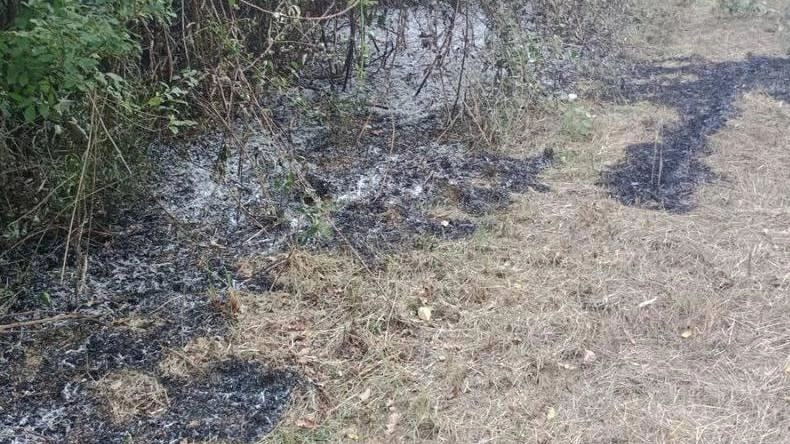 Una delle zone bruciate dagli inneschi del piromane