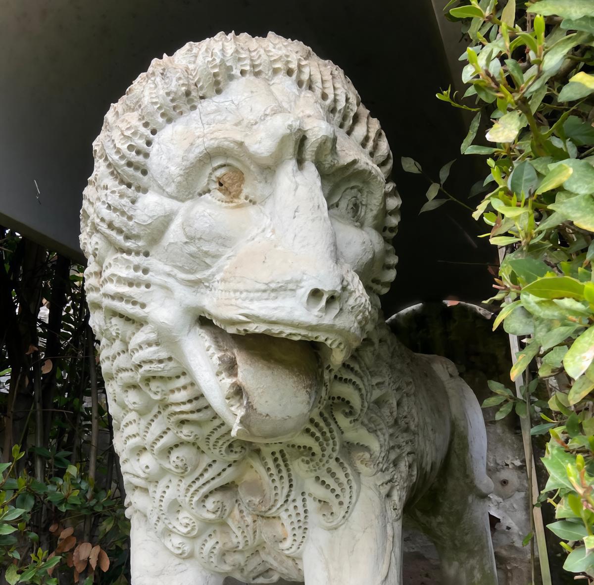 “Il giardino svelato“. A Villa Guinigi musica e visite guidate con Apgi “Il giardino svelato“. A Villa Guinigi musica e visite guidate con Apgi