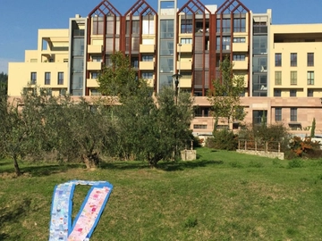immagine articolo